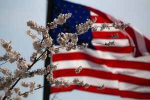 alta-vista-botanical-gardens-american-flag-flower-july-4th