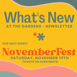 October Newsletter whats new