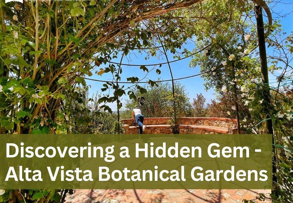 Hidden-Gem-blog-Renewww-